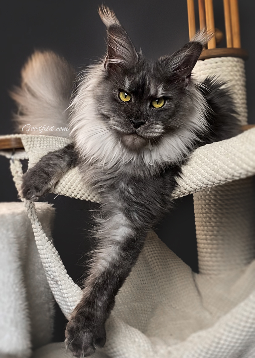 MOTHER. BLACK SMOKE (ns)